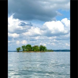 Meet your Posher, Lynn Paddie